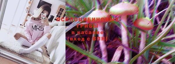 МДПВ Алзамай