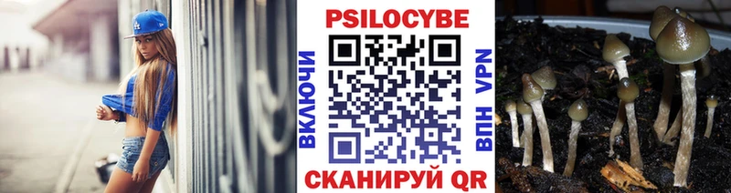 дарнет шоп  Миасс  Псилоцибиновые грибы MAGIC MUSHROOMS 